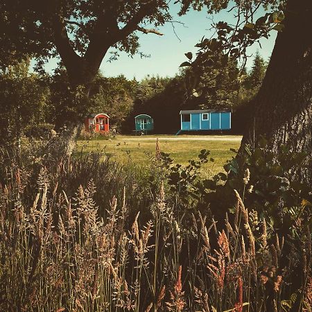 Pipowagens Bij Pannenkoekenrestaurant & Camping De Koppenjan 'Een Uniek Verblijf Met Kinderspeelboerderij' Jubbega-Schurega Kültér fotó