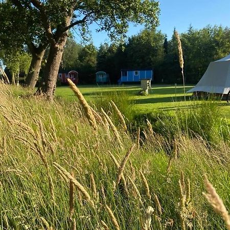 Pipowagens Bij Pannenkoekenrestaurant & Camping De Koppenjan 'Een Uniek Verblijf Met Kinderspeelboerderij' Jubbega-Schurega Kültér fotó