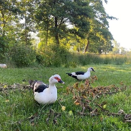Pipowagens Bij Pannenkoekenrestaurant & Camping De Koppenjan 'Een Uniek Verblijf Met Kinderspeelboerderij' Jubbega-Schurega Kültér fotó