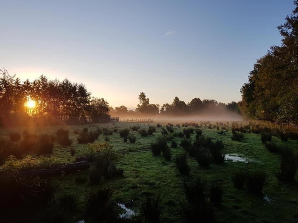 Pipowagens Bij Pannenkoekenrestaurant & Camping De Koppenjan 'Een Uniek Verblijf Met Kinderspeelboerderij' Jubbega-Schurega Kültér fotó