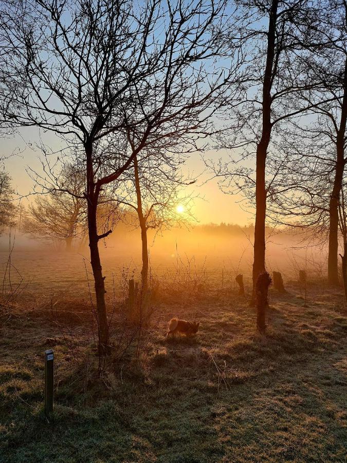 Pipowagens Bij Pannenkoekenrestaurant & Camping De Koppenjan 'Een Uniek Verblijf Met Kinderspeelboerderij' Jubbega-Schurega Kültér fotó