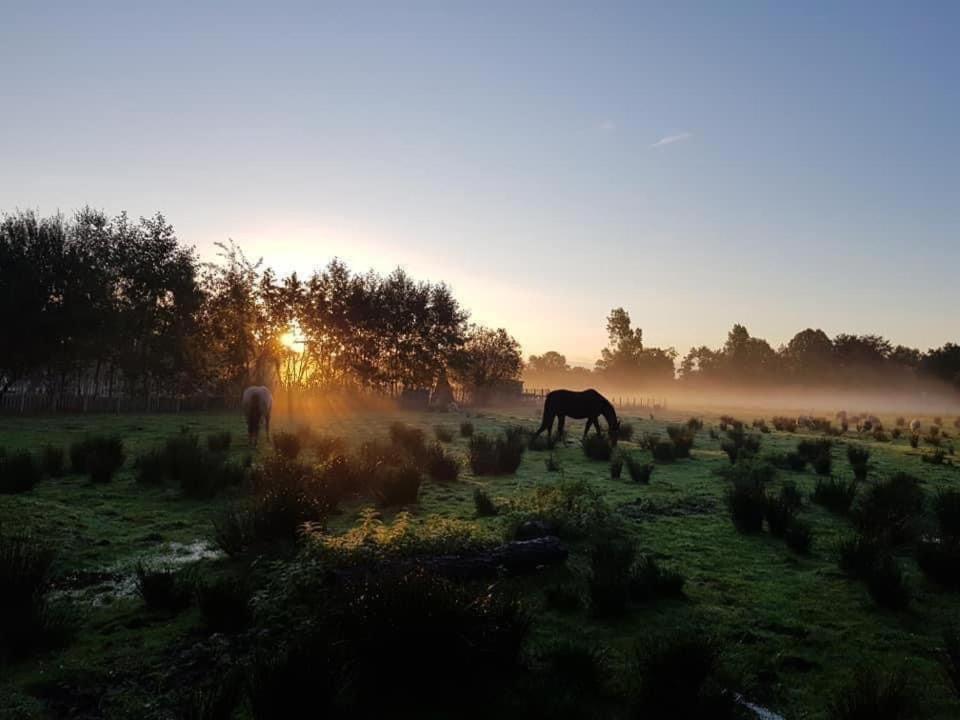Pipowagens Bij Pannenkoekenrestaurant & Camping De Koppenjan 'Een Uniek Verblijf Met Kinderspeelboerderij' Jubbega-Schurega Kültér fotó