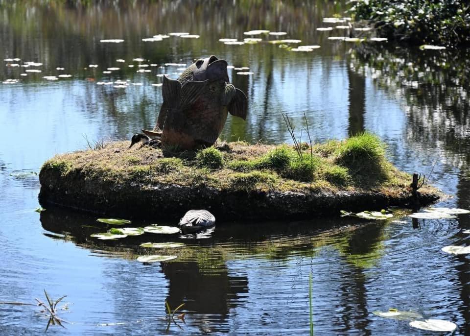 Pipowagens Bij Pannenkoekenrestaurant & Camping De Koppenjan 'Een Uniek Verblijf Met Kinderspeelboerderij' Jubbega-Schurega Kültér fotó